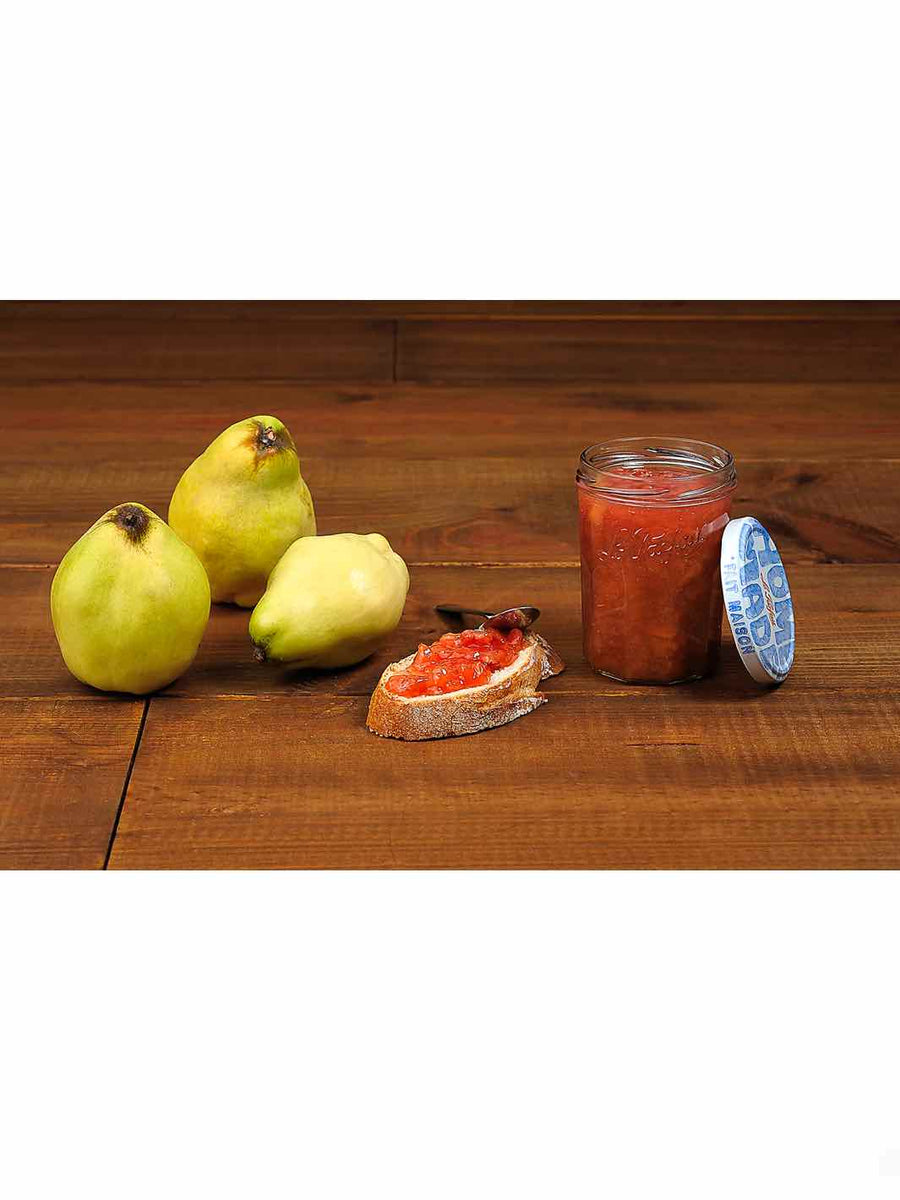 http://ecologicalmarket.com/cdn/shop/products/Le-Parfait-Jam-Jar1_1200x1200.jpg?v=1668885812